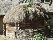 2007 р. Загальний вигляд ззаду