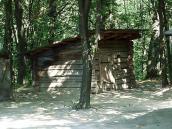 2007 р. Загальний вигляд