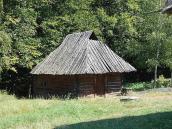 2007 р. Загальний вигляд