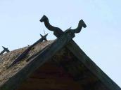 2007 р. Коники на даху