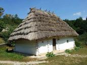 Хата із с.Медведівці