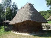 2007 р. Загальний вигляд