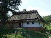 2007 р. Загальний вигляд