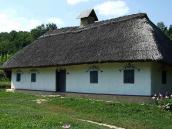 2007 р. Загальний вигляд