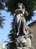 Вигляд анфас