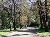 2007 р. Стара каштанова алея