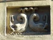 Два дельфіни