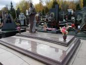 2007 р. Загальний вигляд