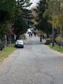 2007 р. Перспектива головної алеї між…