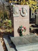 2007 р. Загальний вигляд