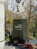 2007 р. Загальний вигляд