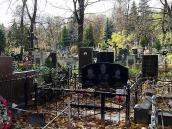 2007 р. Загальний вигляд поля