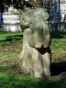 Вигляд анфас