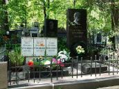 2008 р. Загальний вигляд