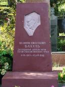 2008 р. Загальний вигляд