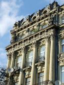 Верхні яруси