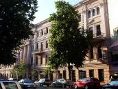 2008 р. Загальний вигляд