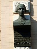 Вигляд анфас