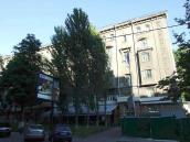 2008 р. Загальний вигляд