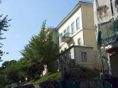 2008 р. Загальний вигляд