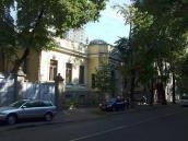 2008 р. Загальний вигляд