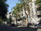 2008 р. Загальний вигляд