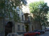 2008 р. Загальний вигляд