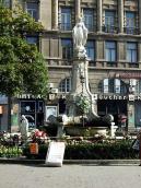 2008 р. Загальний вигляд