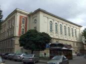 2008 р. Загальний вигляд