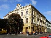 2008 р. Загальний вигляд