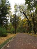 2008 р. Алея парку