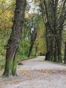 2008 р. Алея парку