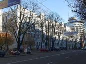 2008 р. Загальний вигляд