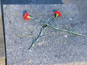 Надгробок М.Д.Авдеєва