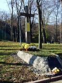 2008 р. Загальний вигляд