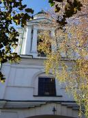 2008 р. Верхні яруси. Вигляд зі сходу