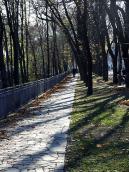 2008 р. Алея верхньої тераси