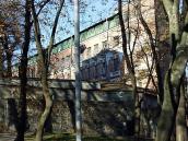 2008 р. Загальний вигляд