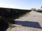 2009 р. Західний фронт. Валганг.…