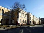 Корпус [пульмонології]