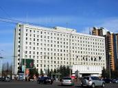 2009 р. Загальний вигляд