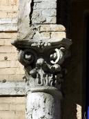 Уапітель колони