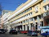 2009 р. Загальний вигляд