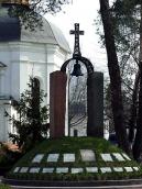 2009 р. Загальний вигляд