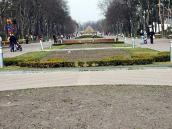 2009 р. Курган у перспективі головної…