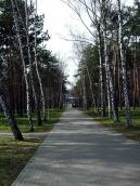 2009 р. Перспектива бічної алеї парку