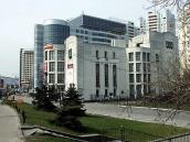 2009 р. Загальний вигляд