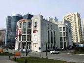 2009 р. Загальний вигляд