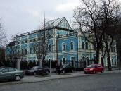 2009 р. Загальний вигляд