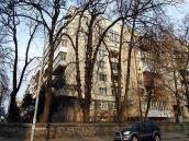 2009 р. Загальний вигляд